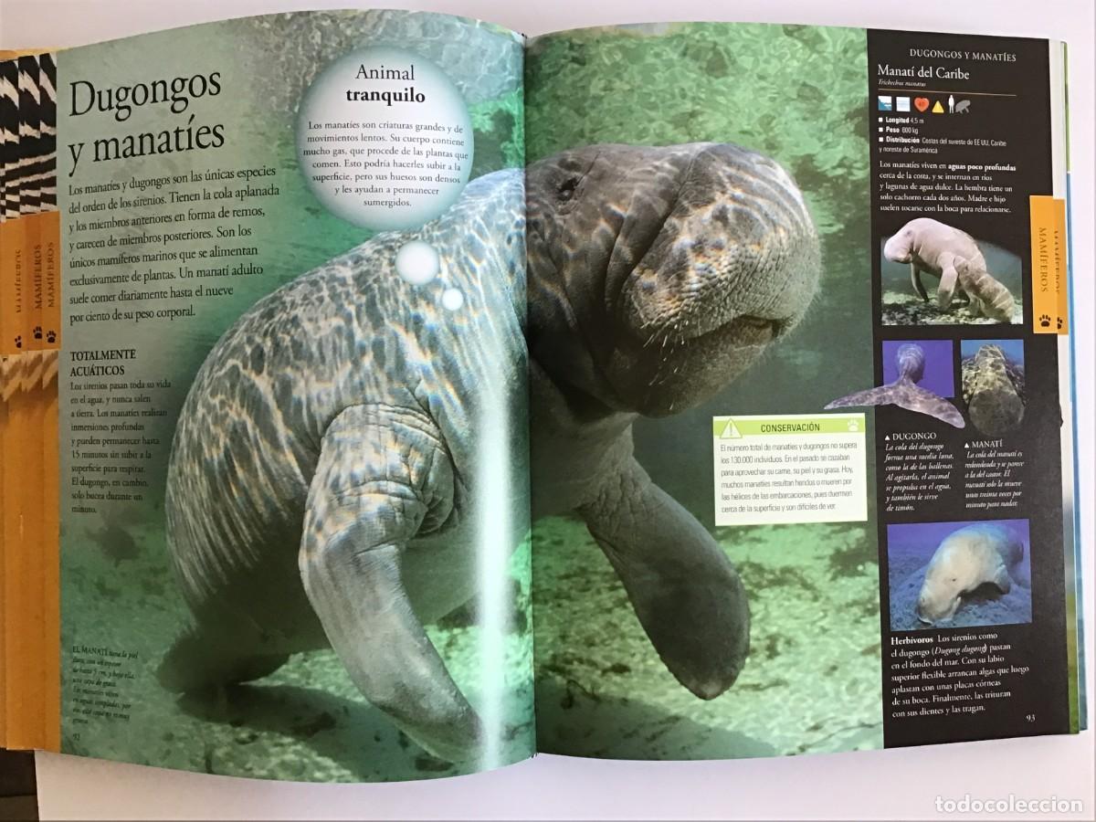 Libros de segunda mano: ENCICLOPEDIA COMPLETA DE LOS ANIMALES / SM - Foto 4