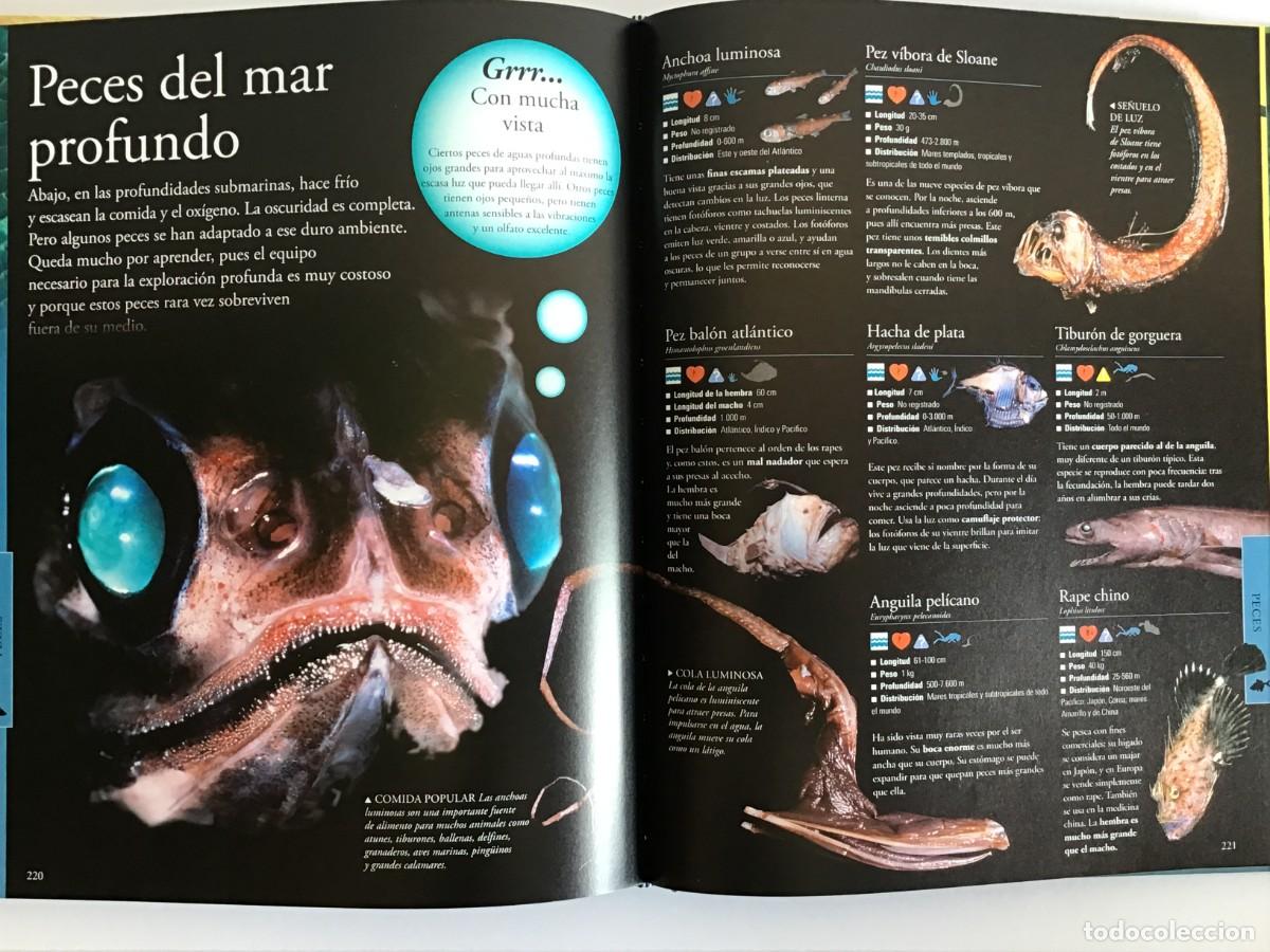 Libros de segunda mano: ENCICLOPEDIA COMPLETA DE LOS ANIMALES / SM - Foto 5