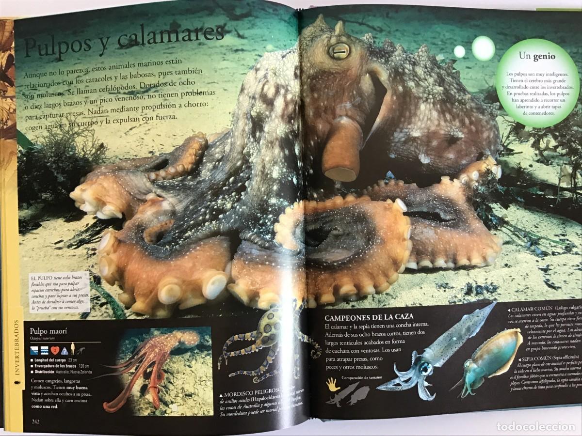 Libros de segunda mano: ENCICLOPEDIA COMPLETA DE LOS ANIMALES / SM - Foto 6