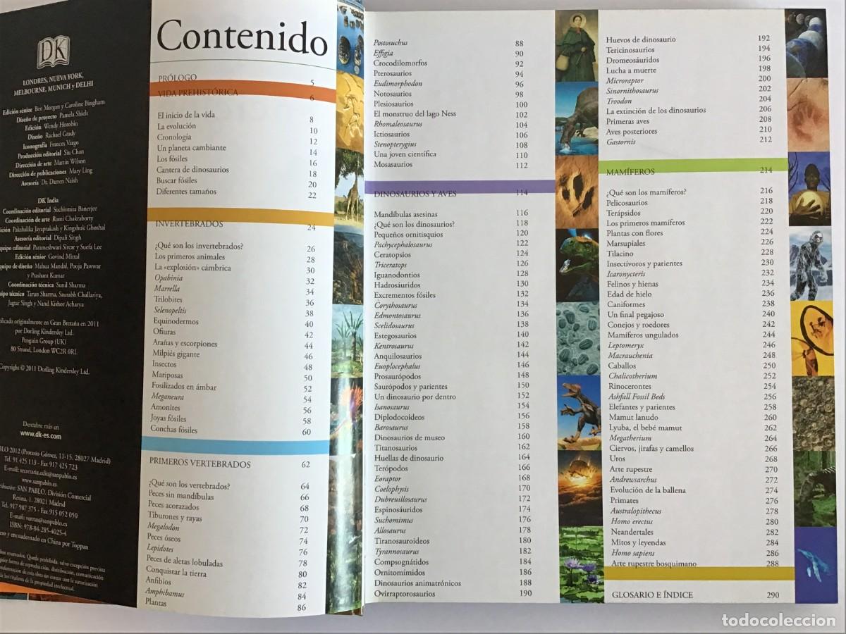 Libros de segunda mano: DINOSAURIOS, LA ENCICLOPEDIA VISUAL / EDITORIAL SAN PABLO - Foto 2
