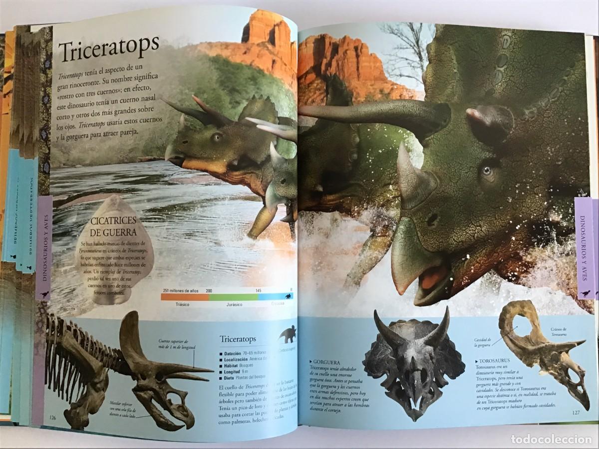 Libros de segunda mano: DINOSAURIOS, LA ENCICLOPEDIA VISUAL / EDITORIAL SAN PABLO - Foto 4