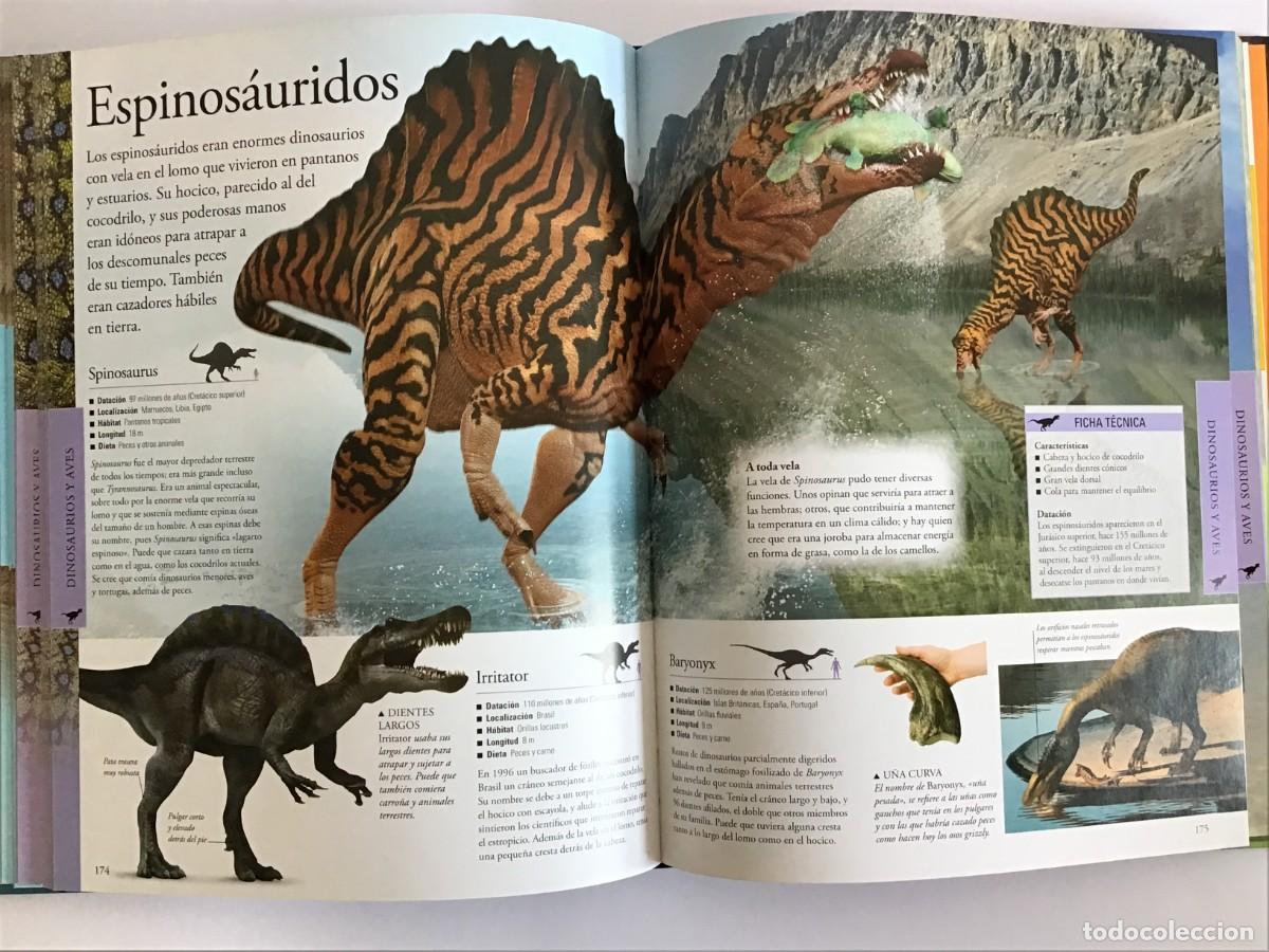 Libros de segunda mano: DINOSAURIOS, LA ENCICLOPEDIA VISUAL / EDITORIAL SAN PABLO - Foto 5
