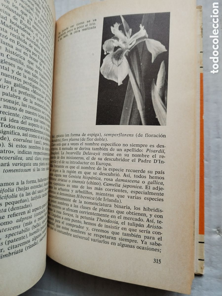 Libros de segunda mano: ABC DE LAS PLANTAS DE JARD&Iacute;N Y TERRAZA - Foto 5