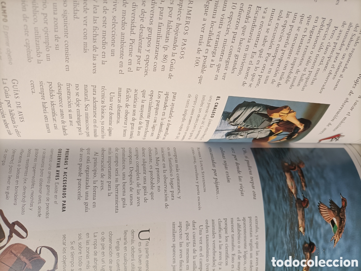Libros de segunda mano: Aves de Europa Arnoud B. Van den Bergg - Foto 7