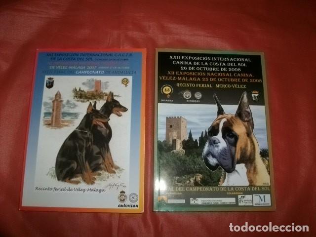 Libros de segunda mano: LOTE EXPOSICI&Oacute;N INTERNACIONAL CANINA DE LA COSTA DEL SOL Y NACIONAL DE V&Eacute;LEZ-M&Aacute;LAGA (2007-2008)