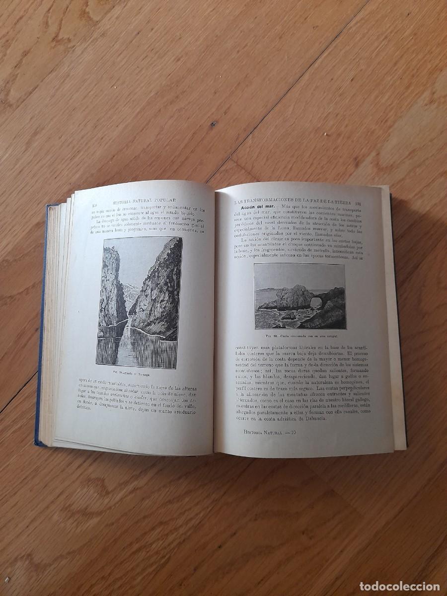Libros de segunda mano: Historia natural ed Sopena 1947 - Foto 3