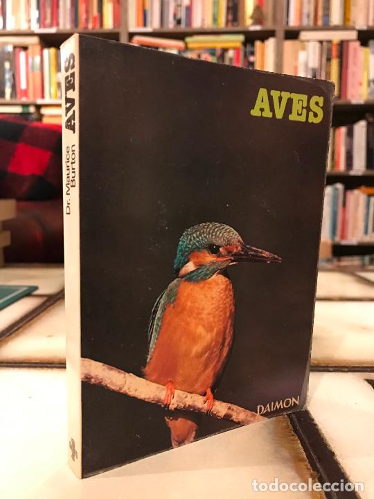 Libros de segunda mano: Aves. Dr. Maurice Burton. PEDIDO M&Iacute;NIMO 5&euro; - Foto 1