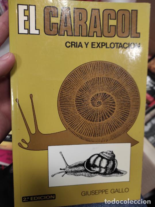 Libros de segunda mano: El caracol: cr&iacute;a y explotaci&oacute;n.- Gallo, Giuseppe - Foto 1