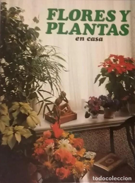 Libros de segunda mano: FLORES Y PLANTAS EN CASA - VIOLET STEVENSON - - Foto 1