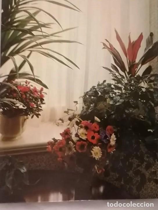 Libros de segunda mano: FLORES Y PLANTAS EN CASA - VIOLET STEVENSON - - Foto 2