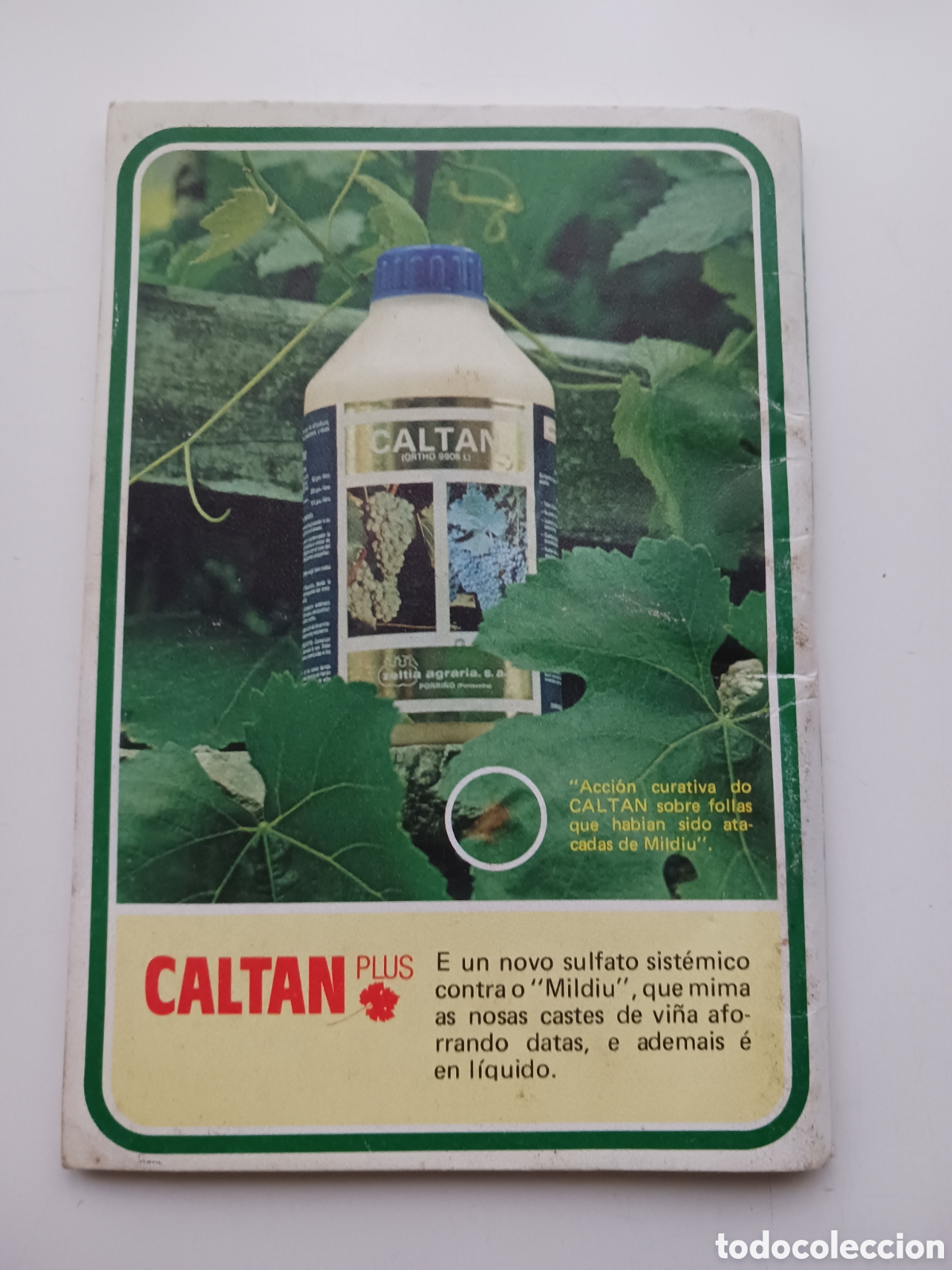 Libros de segunda mano: Almanaque agricola 1981 Galicia - Foto 2