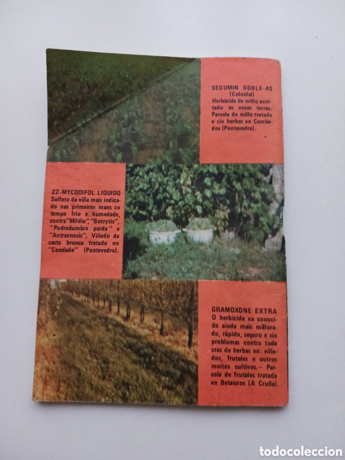 Libros de segunda mano: Almanaque agricola 1979 Galicia - Foto 2