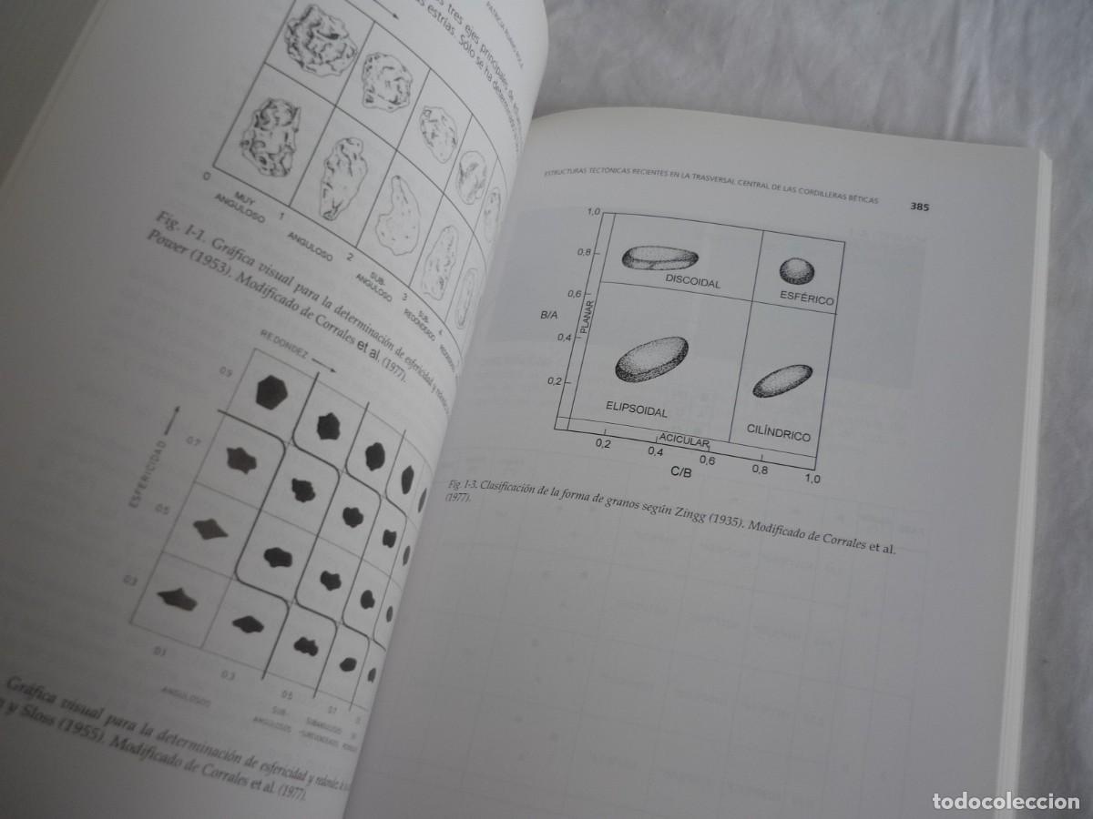 Libros de segunda mano: Estructuras tect&oacute;nicas recientes en la transversal central de las Cordilleras B&eacute;ticas, 2004 - Foto 11