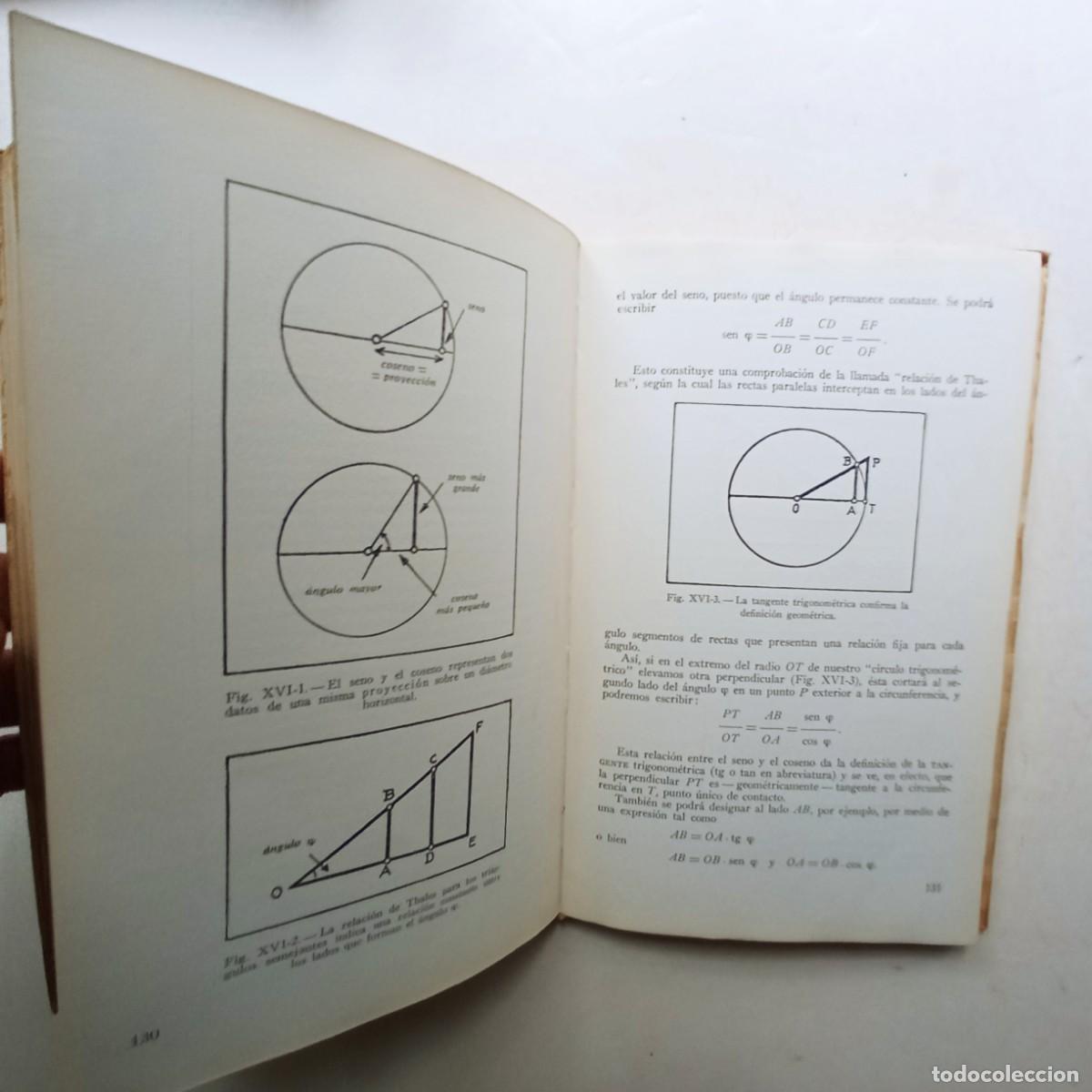 Libros de segunda mano de ciencias: LA MATEMATICAS? FRED KLINGER PERO SI SON MUY F&Aacute;CILES - Foto 4