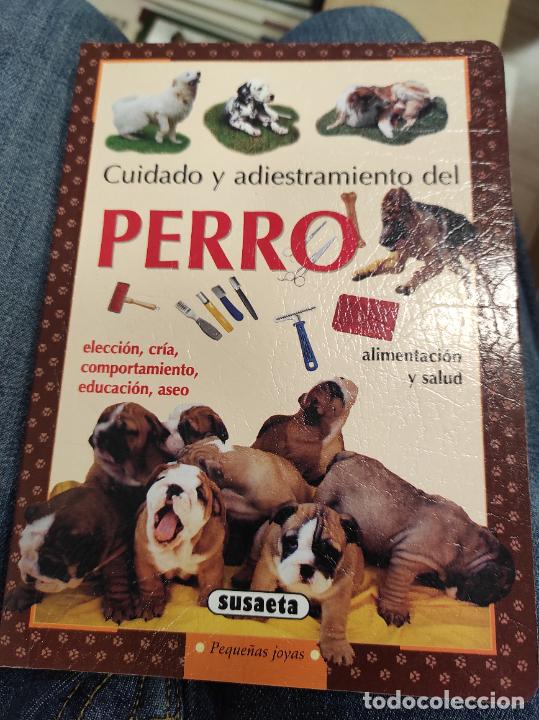 Libros de segunda mano: CUIDADO Y ADIESTRAMIENTO DEL PERRO, SUSAETA EDICIONES - Foto 1