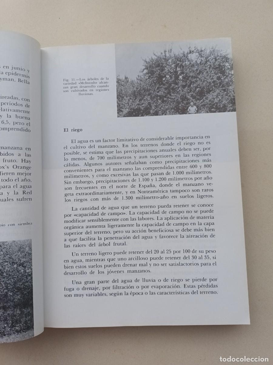 Libros de segunda mano: EL MANZANO - SERGIO &Aacute;LVAREZ REQUEJO - 1983 - Foto 4
