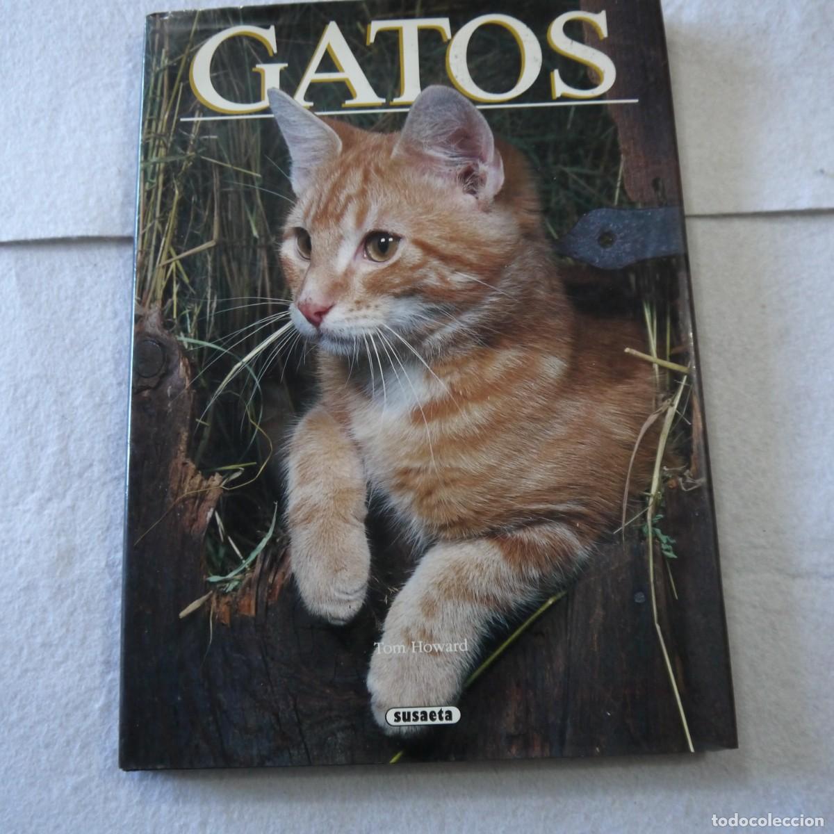 Libros de segunda mano: GATOS - TOM HOWARD - SUSAETA - Foto 1