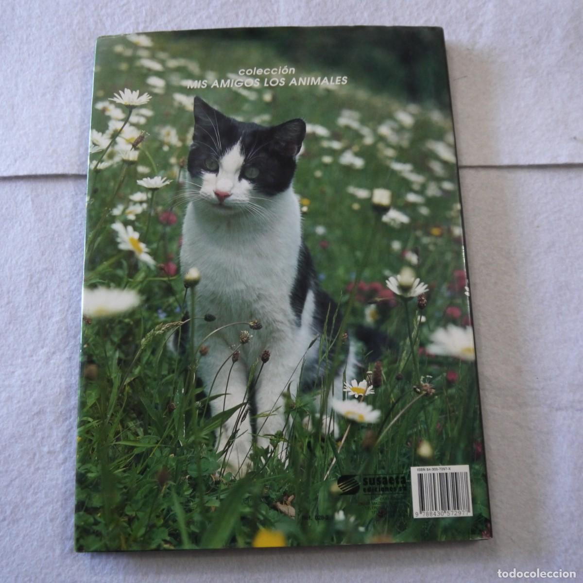 Libros de segunda mano: GATOS - TOM HOWARD - SUSAETA - Foto 2