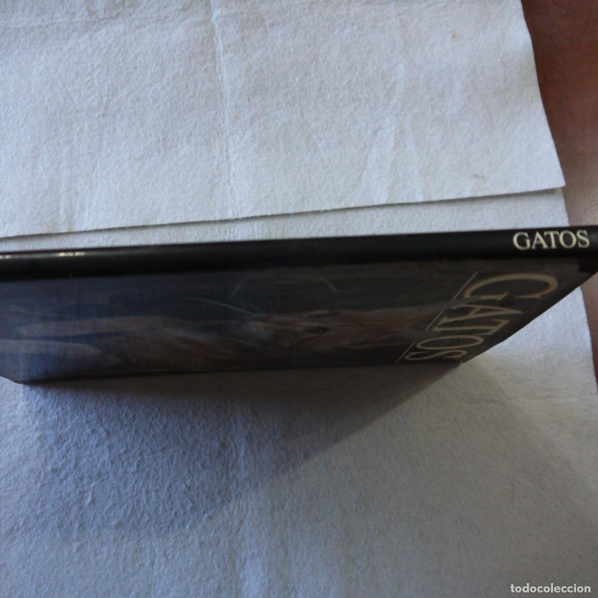 Libros de segunda mano: GATOS - TOM HOWARD - SUSAETA - Foto 3