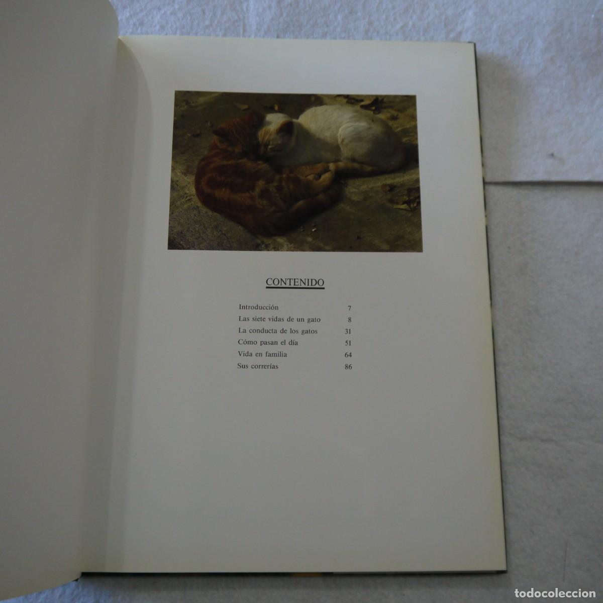Libros de segunda mano: GATOS - TOM HOWARD - SUSAETA - Foto 4