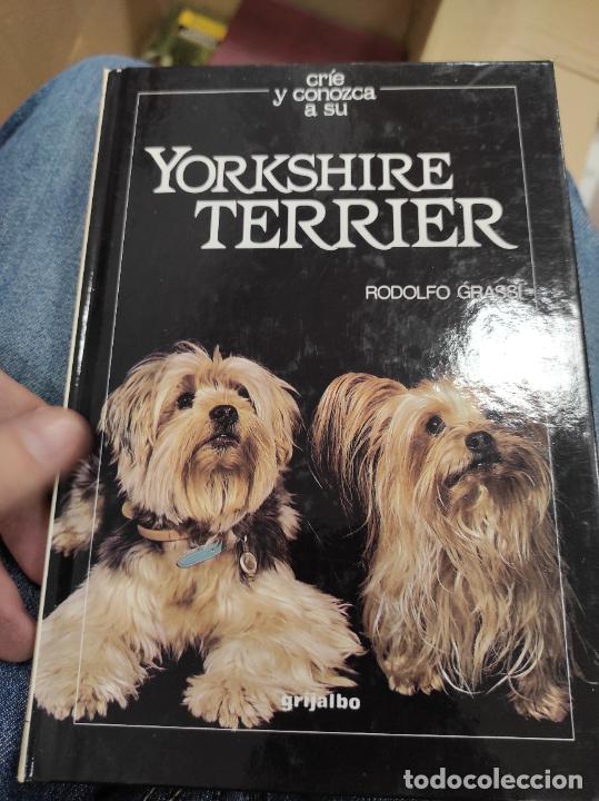 Libros de segunda mano: Cri&eacute; y conozca a su Yorkshire Terrier - Grassi, Rodolfo - Foto 1