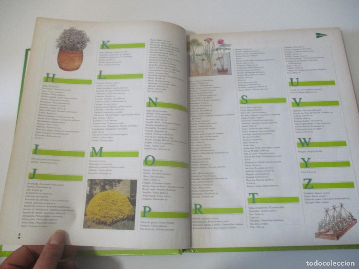 Libros de segunda mano: EL LIBRO DE ORO DE LAS PLANTAS Y LOS JARDINES W18088 - Foto 3