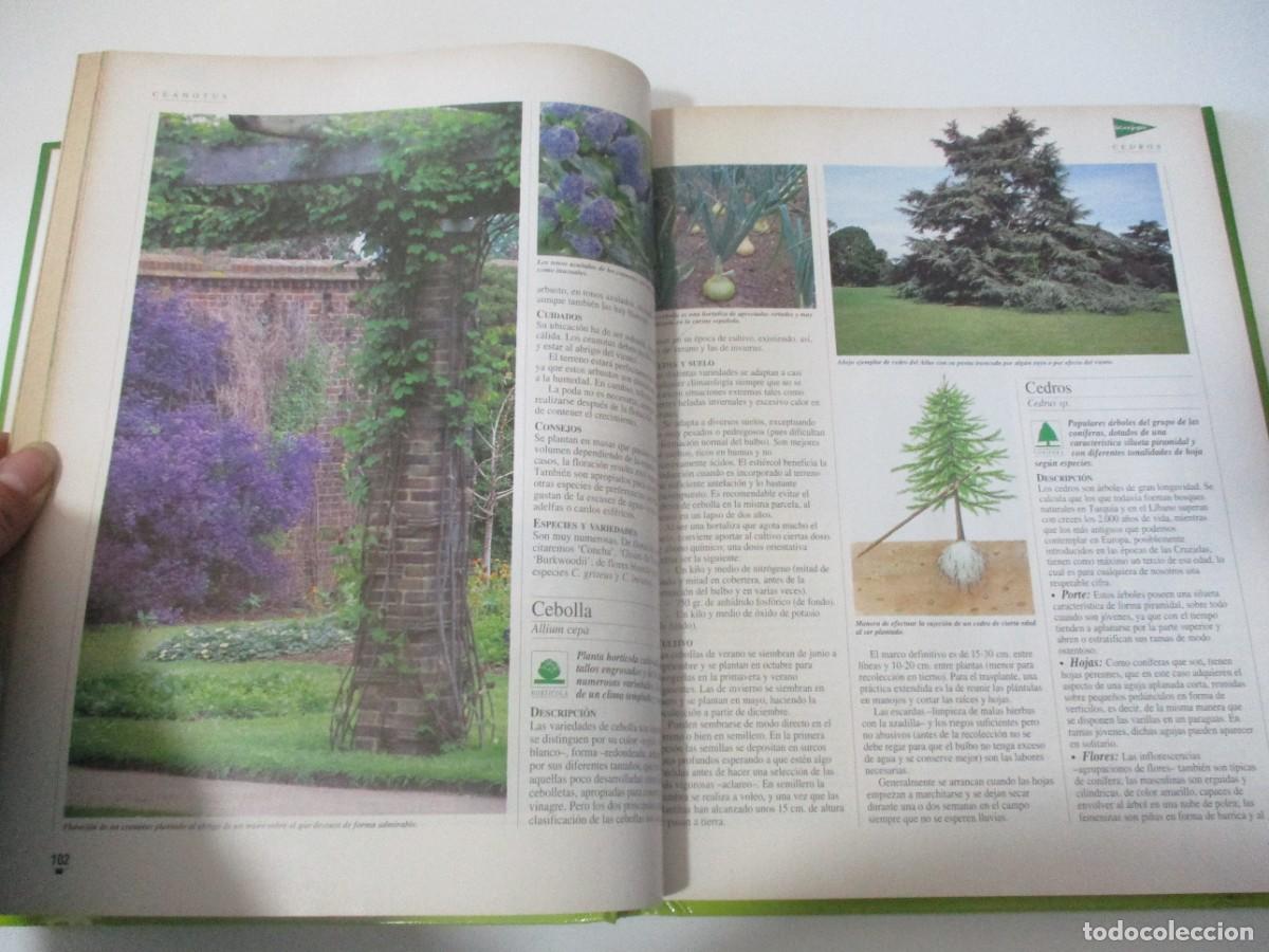 Libros de segunda mano: EL LIBRO DE ORO DE LAS PLANTAS Y LOS JARDINES W18088 - Foto 5