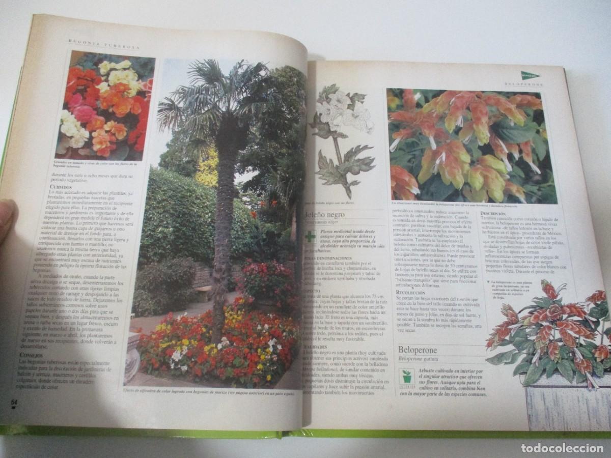 Libros de segunda mano: EL LIBRO DE ORO DE LAS PLANTAS Y LOS JARDINES W18088 - Foto 6