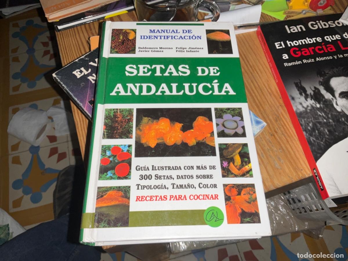 Gebrauchte B&uuml;cher: Setas de Andaluc&iacute;a, Manual de identificaci&oacute;n, gu&iacute;a ilustrada, VVAA,