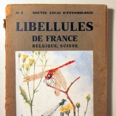 Libros de segunda mano: CHOPARD. L. - LIBELLULES DE FRANCE, BELGIQUE, SUISSE - PARIS 1948 - MUY ILUSTRADO. Lote 396296504