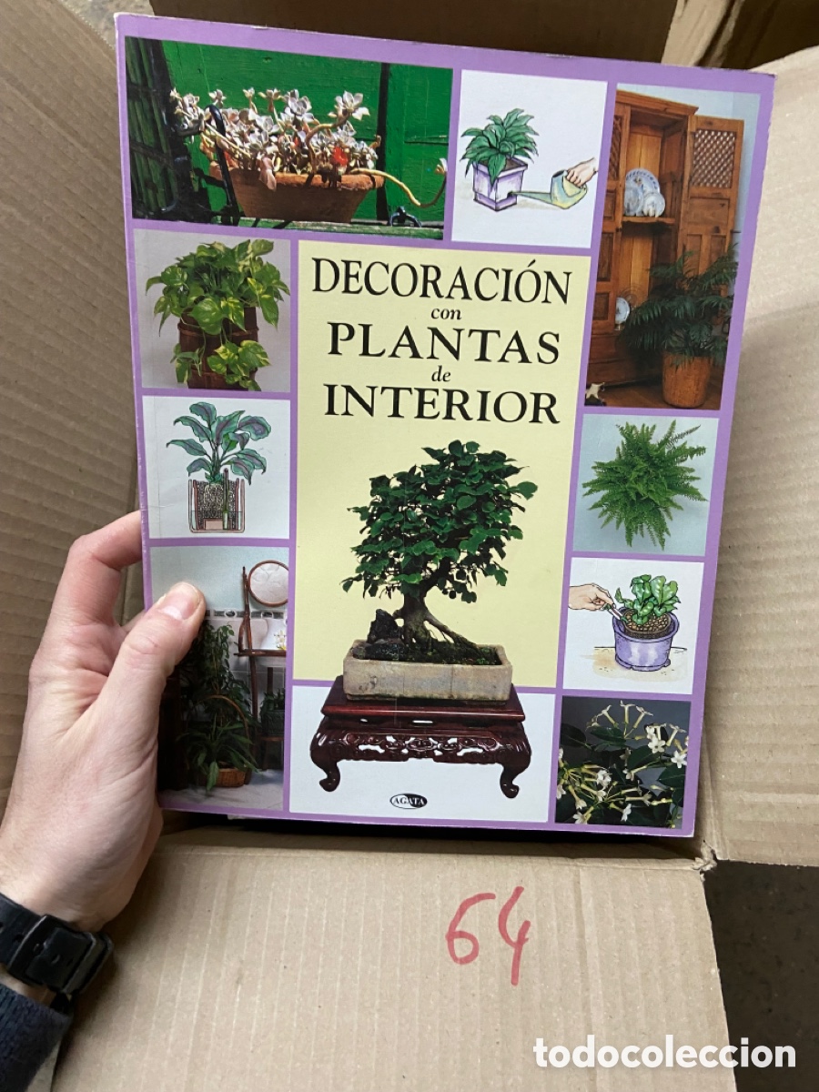 Libros de segunda mano: Caja64 DECORACI&Oacute;N cOn PLANTAS de INTERIOR - Foto 1