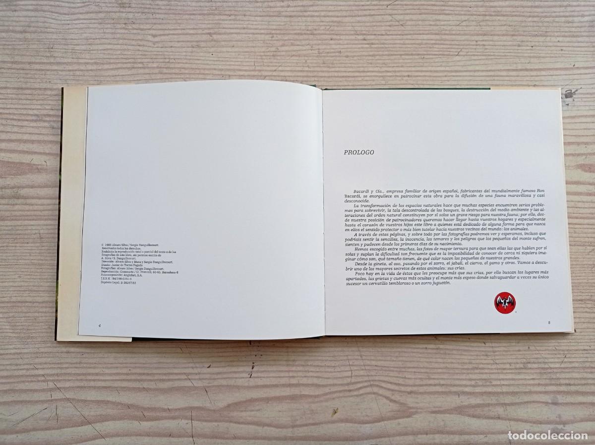 Libros de segunda mano: Los Peque&ntilde;os Del Monte - 1983 - Foto 2