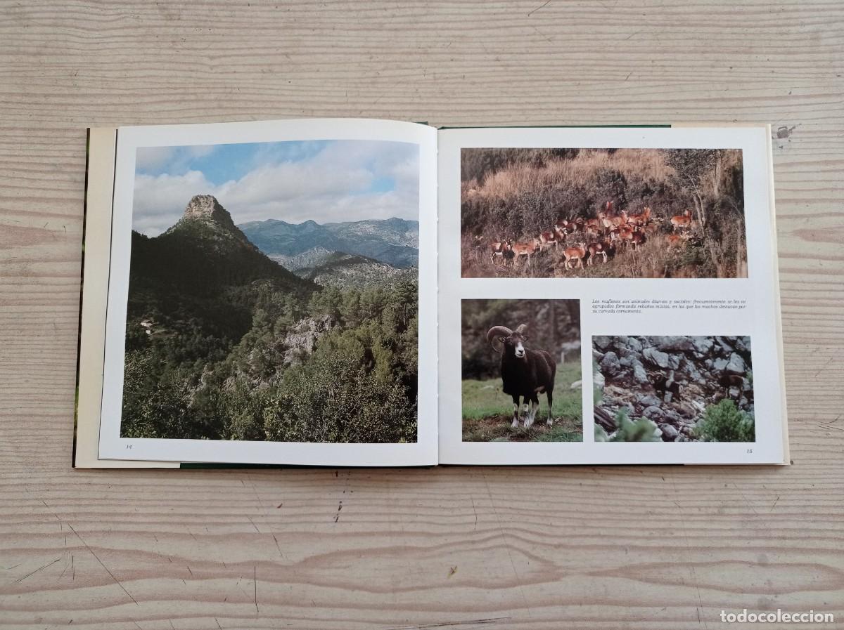 Libros de segunda mano: Los Peque&ntilde;os Del Monte - 1983 - Foto 3