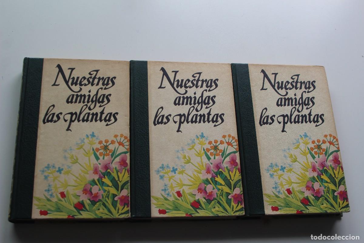 Libros de segunda mano: NUESTRAS AMIGAS LAS PLANTAS 3 TOMOS AMIGOS DE LA HISTORIA - Foto 1