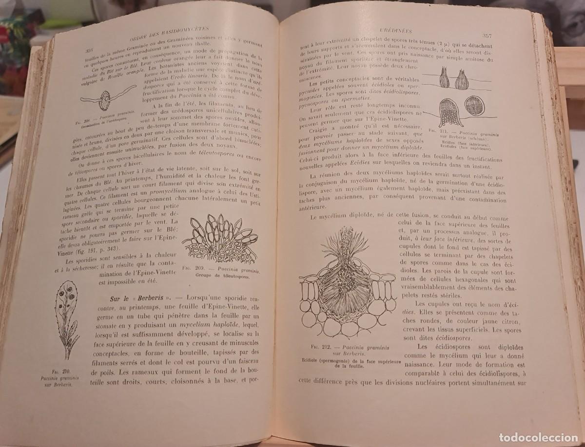 Libros de segunda mano: Criptogamia. Libro &rdquo;Trait&eacute; de CRYPTOGAMIE&rdquo; (en franc&eacute;s) de Louis LUTZ Masson Ed., Par&iacute;s 1948 - Foto 4