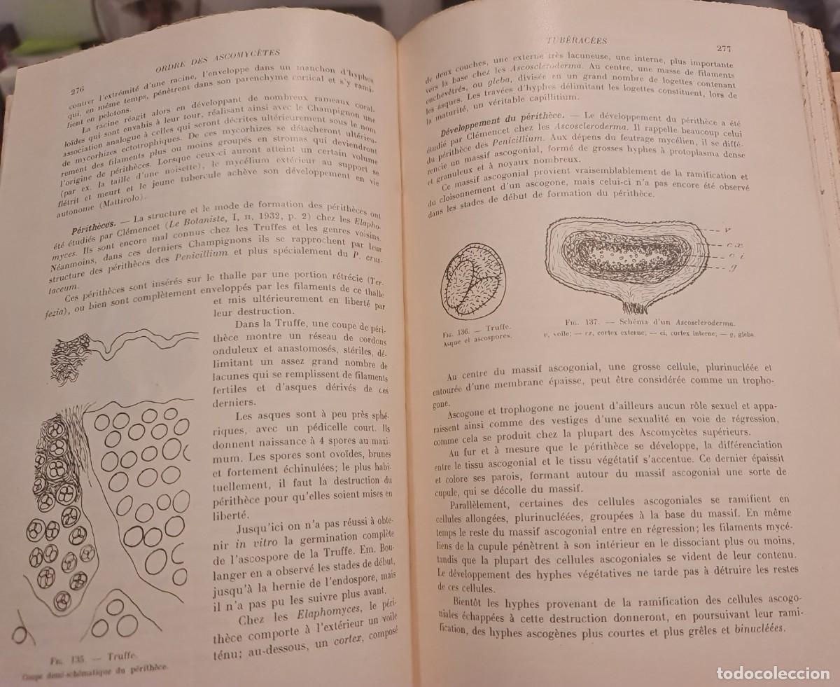 Libros de segunda mano: Criptogamia. Libro &rdquo;Trait&eacute; de CRYPTOGAMIE&rdquo; (en franc&eacute;s) de Louis LUTZ Masson Ed., Par&iacute;s 1948 - Foto 5