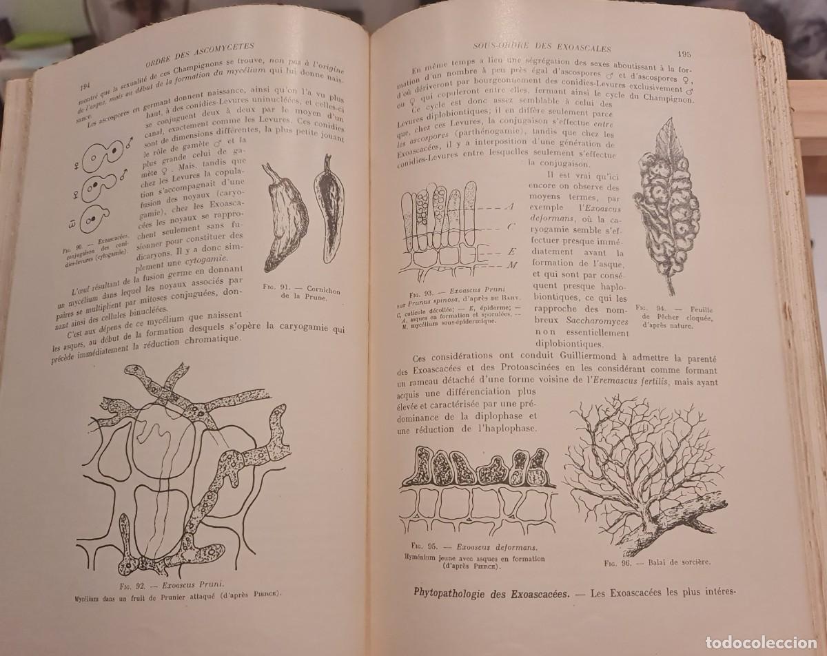 Libros de segunda mano: Criptogamia. Libro &rdquo;Trait&eacute; de CRYPTOGAMIE&rdquo; (en franc&eacute;s) de Louis LUTZ Masson Ed., Par&iacute;s 1948 - Foto 6