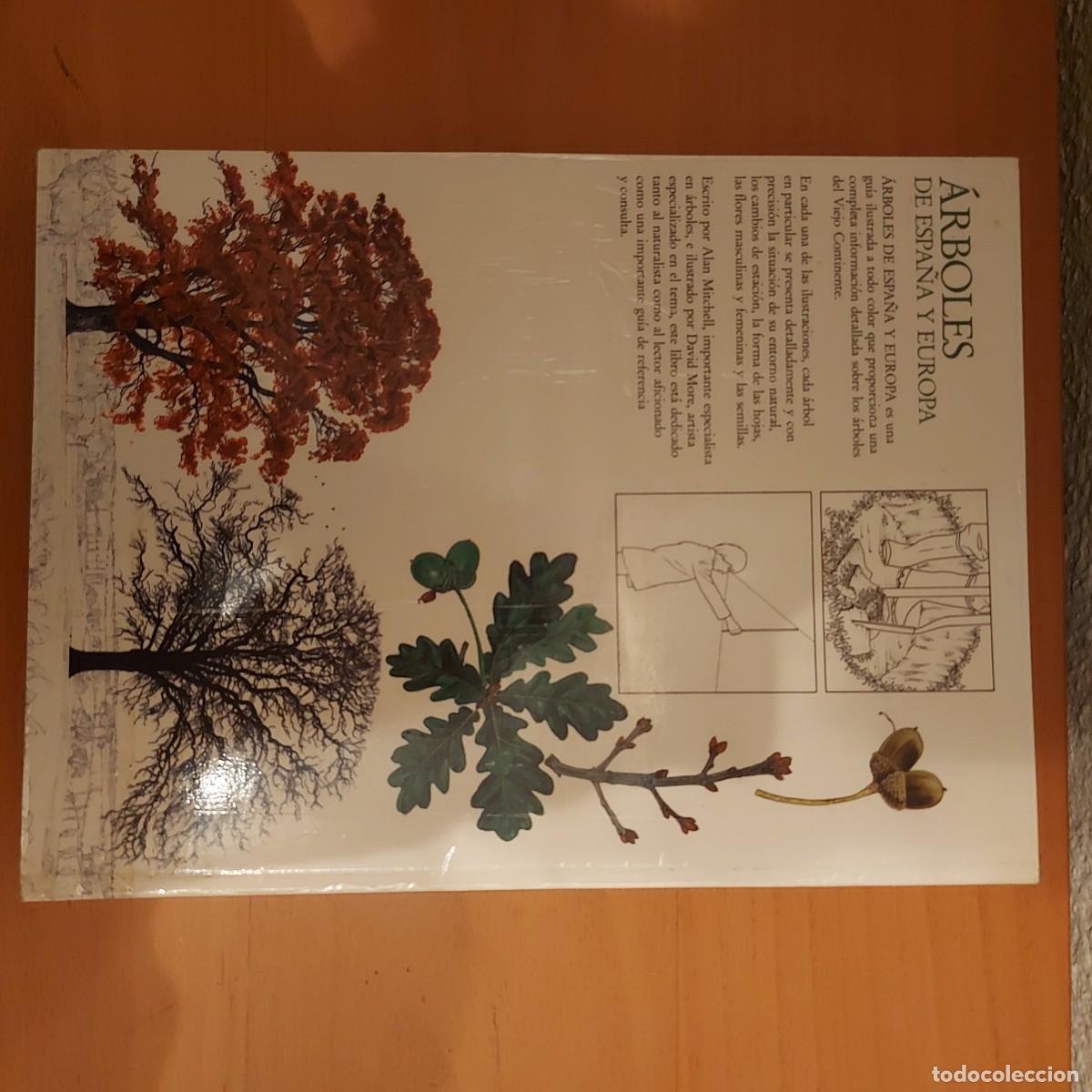 Libros de segunda mano: ARBOLES DE ESPA&Ntilde;A Y EUROPA ALAN MITCHELL - Foto 2
