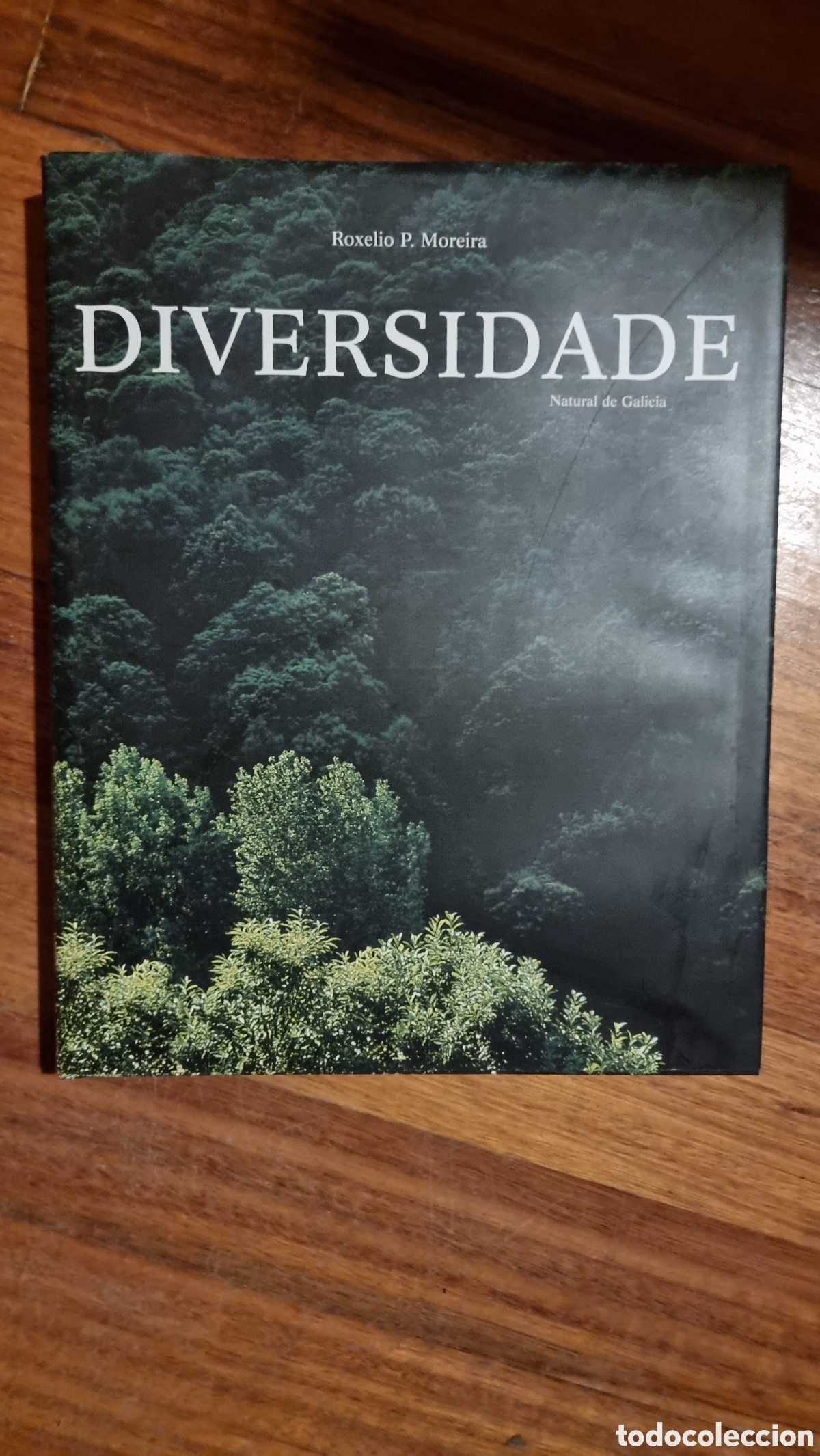 Libros de segunda mano: DIVERSIDADE NATURAL DE GALICIA - Foto 1