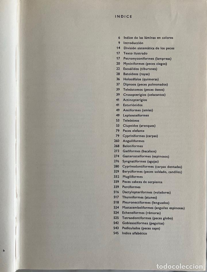Libros de segunda mano: GRAN ENCICLOPEDIA ILUSTRADA DE LOS PECES, STANISLAV FRANK. LIBRO C&Iacute;RCULO DE LECTORES - Foto 6