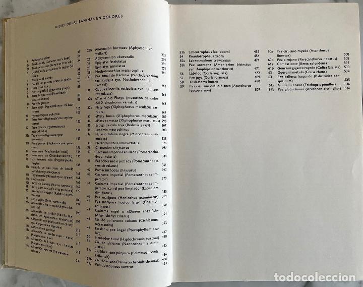 Libros de segunda mano: GRAN ENCICLOPEDIA ILUSTRADA DE LOS PECES, STANISLAV FRANK. LIBRO C&Iacute;RCULO DE LECTORES - Foto 7