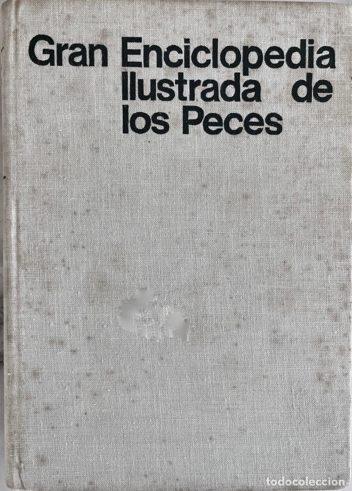 Libros de segunda mano: GRAN ENCICLOPEDIA ILUSTRADA DE LOS PECES, STANISLAV FRANK. LIBRO C&Iacute;RCULO DE LECTORES - Foto 1
