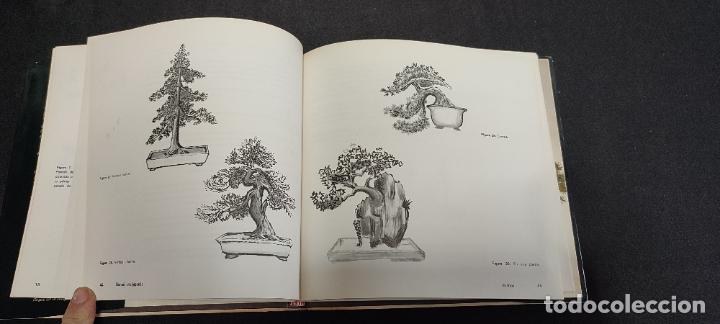 Libros de segunda mano: BONSAI ARTE JAPON&Eacute;S - FAUST VERG&Eacute;S/ EDICI&Oacute;N 2&ordf; - Foto 3