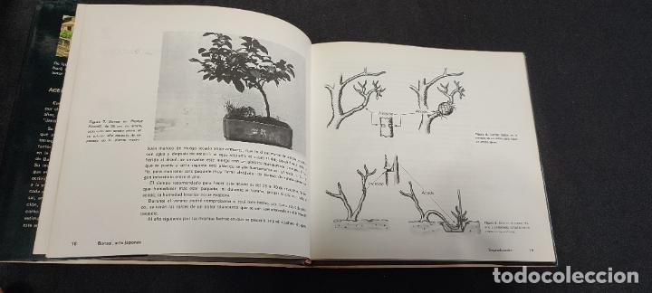 Libros de segunda mano: BONSAI ARTE JAPON&Eacute;S - FAUST VERG&Eacute;S/ EDICI&Oacute;N 2&ordf; - Foto 4