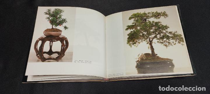 Libros de segunda mano: BONSAI ARTE JAPON&Eacute;S - FAUST VERG&Eacute;S/ EDICI&Oacute;N 2&ordf; - Foto 6