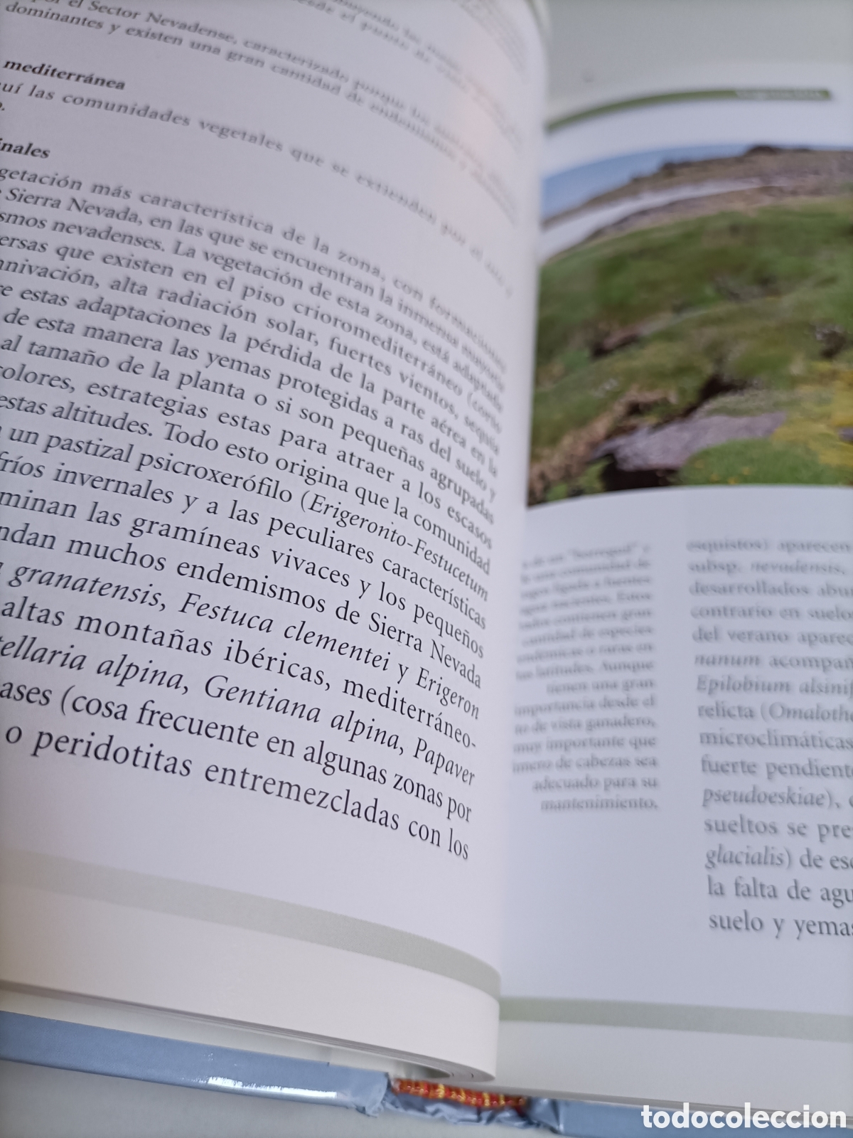 Libros de segunda mano: Parque Nacional de Sierra Nevada. Canseco editores 2001 - Foto 6