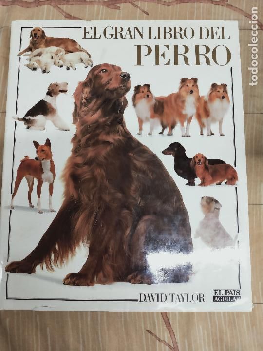 Libros de segunda mano: EL GRAN LIBRO DEL PERRO - DAVID TAYLOR - EL PAIS AGUILAR 1992. - Foto 1
