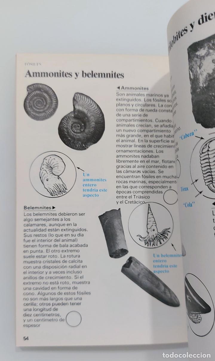 Libros de segunda mano: Rocas y minerales | Woolley, Alan | Editorial Juventud, 1992 - Foto 4
