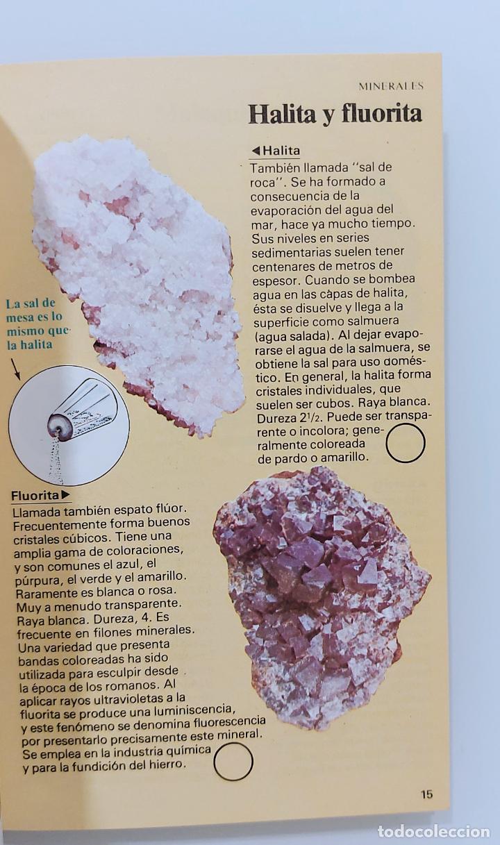 Libros de segunda mano: Rocas y minerales | Woolley, Alan | Editorial Juventud, 1992 - Foto 5