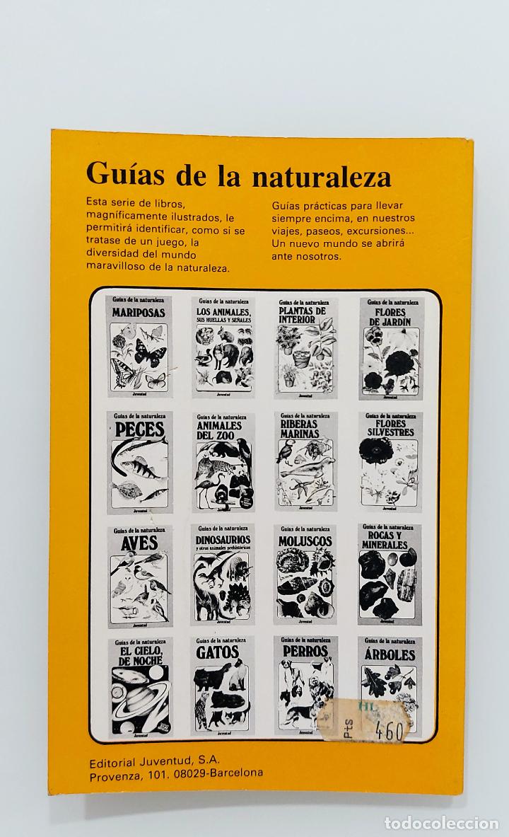 Libros de segunda mano: Rocas y minerales | Woolley, Alan | Editorial Juventud, 1992 - Foto 6